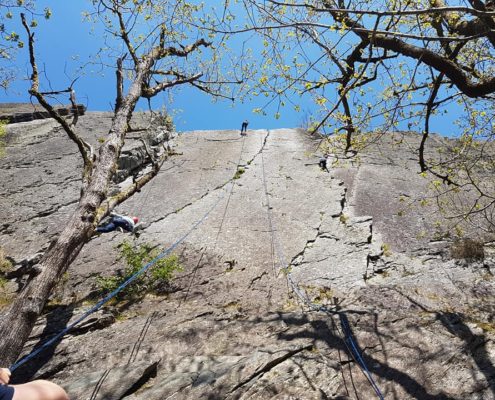 Rotswand klimmen tijdens een bedrijfsuitje in de Ardennen